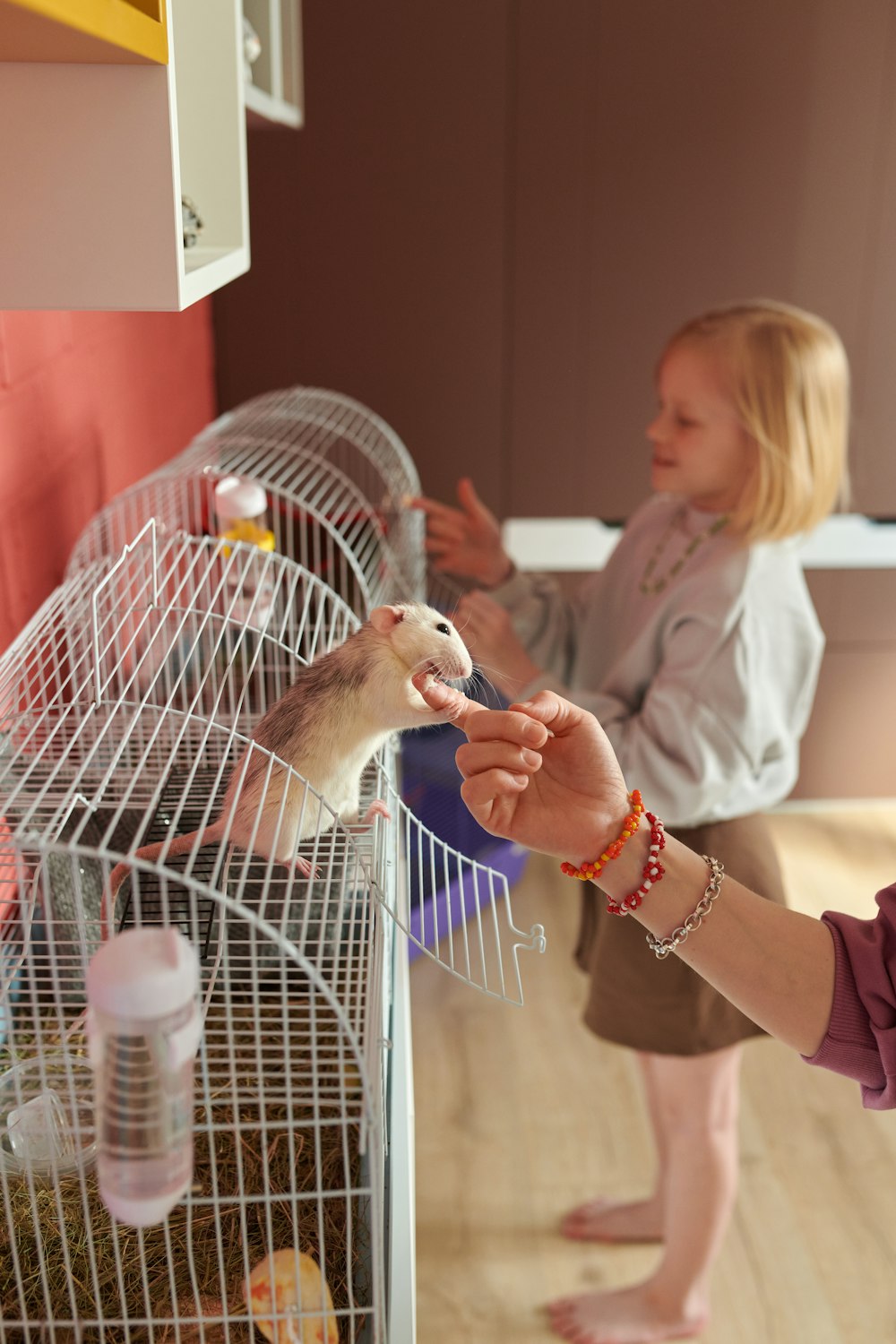 a woman feeding a small rodent in a cage