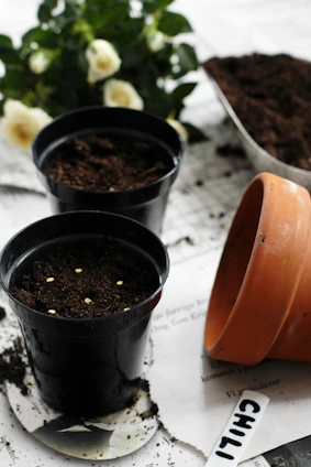 three pots of dirt sitting on top of a table