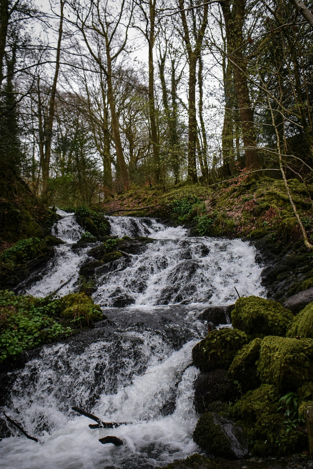 a small waterfall in the middle of a forest
