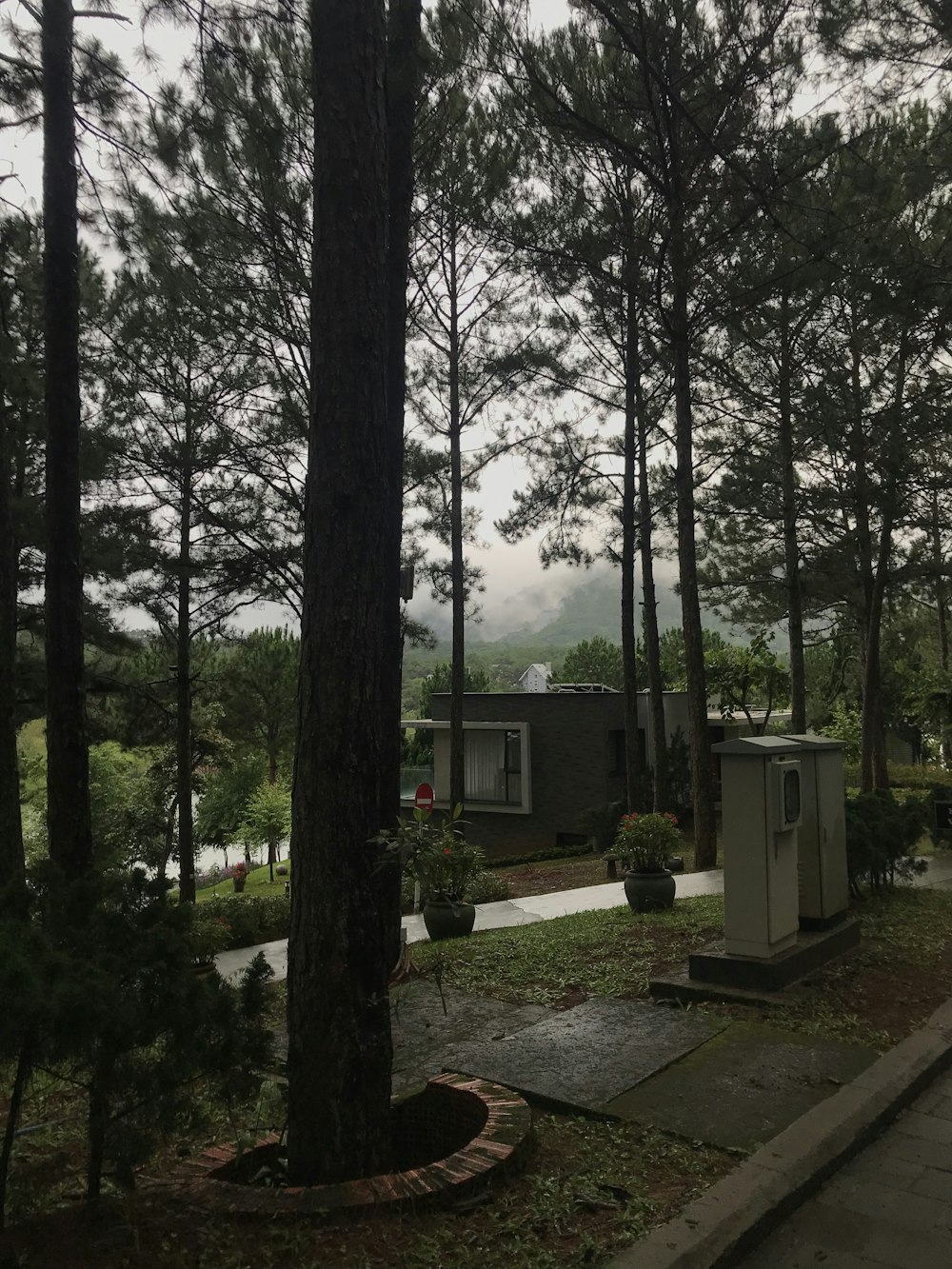 a couple of small buildings in the middle of a forest