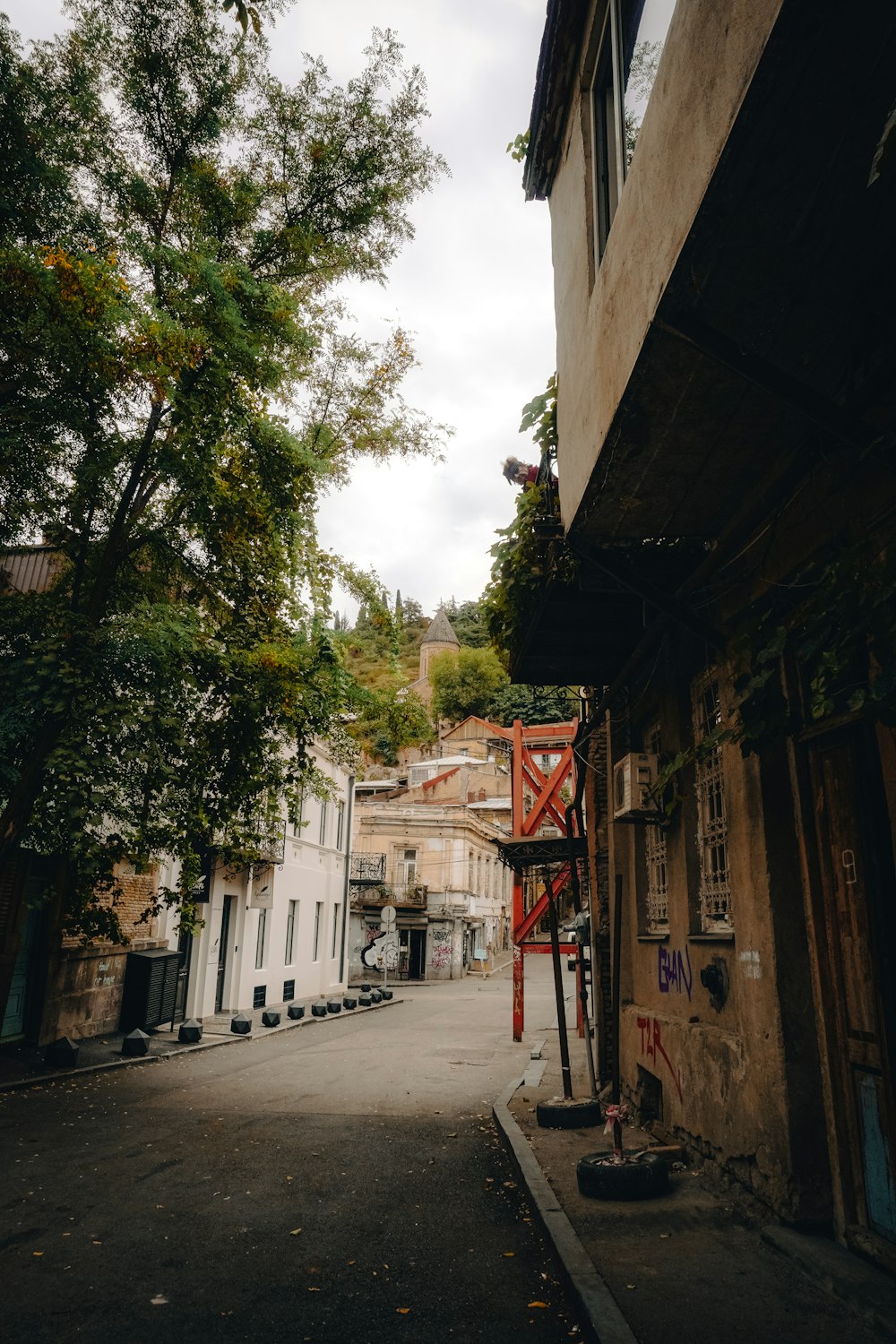 a narrow street with buildings and trees on both sides