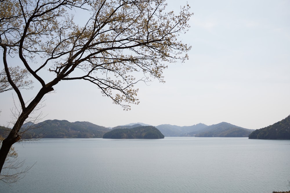 a large body of water surrounded by mountains