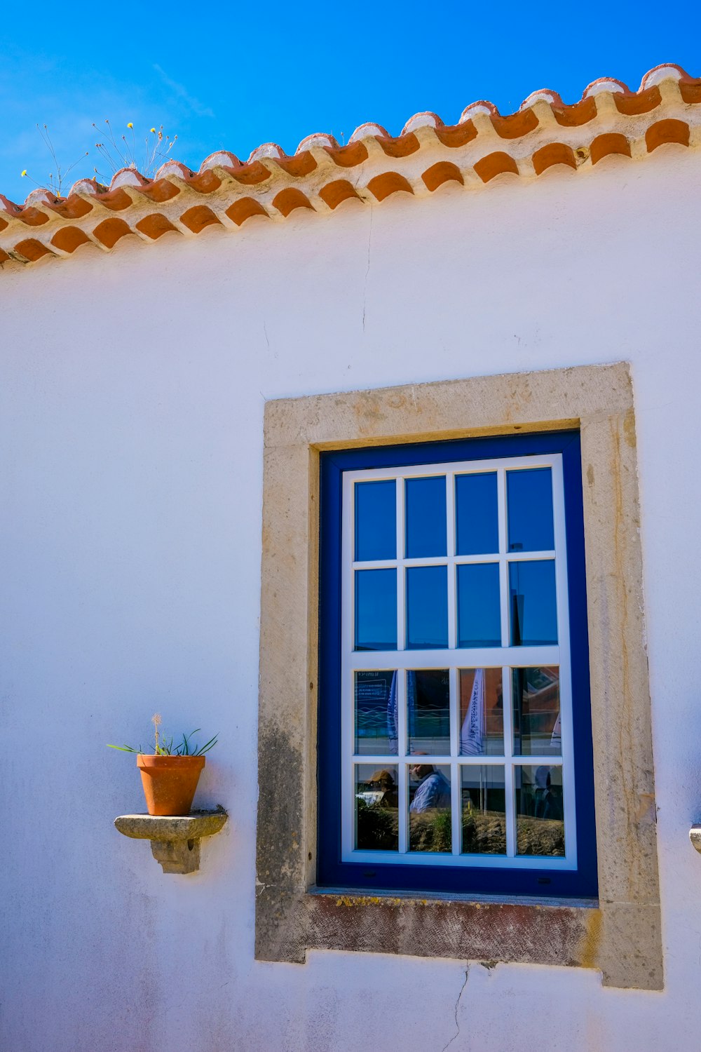 a window with a blue pane and a potted plant