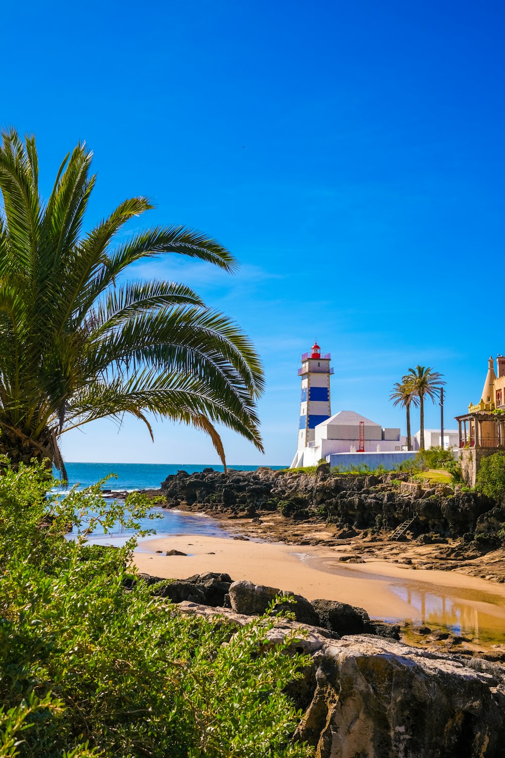 a beach with a light house and palm trees