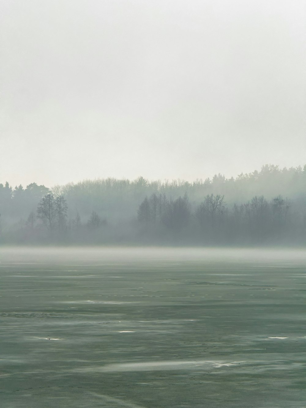 a large body of water with trees in the background