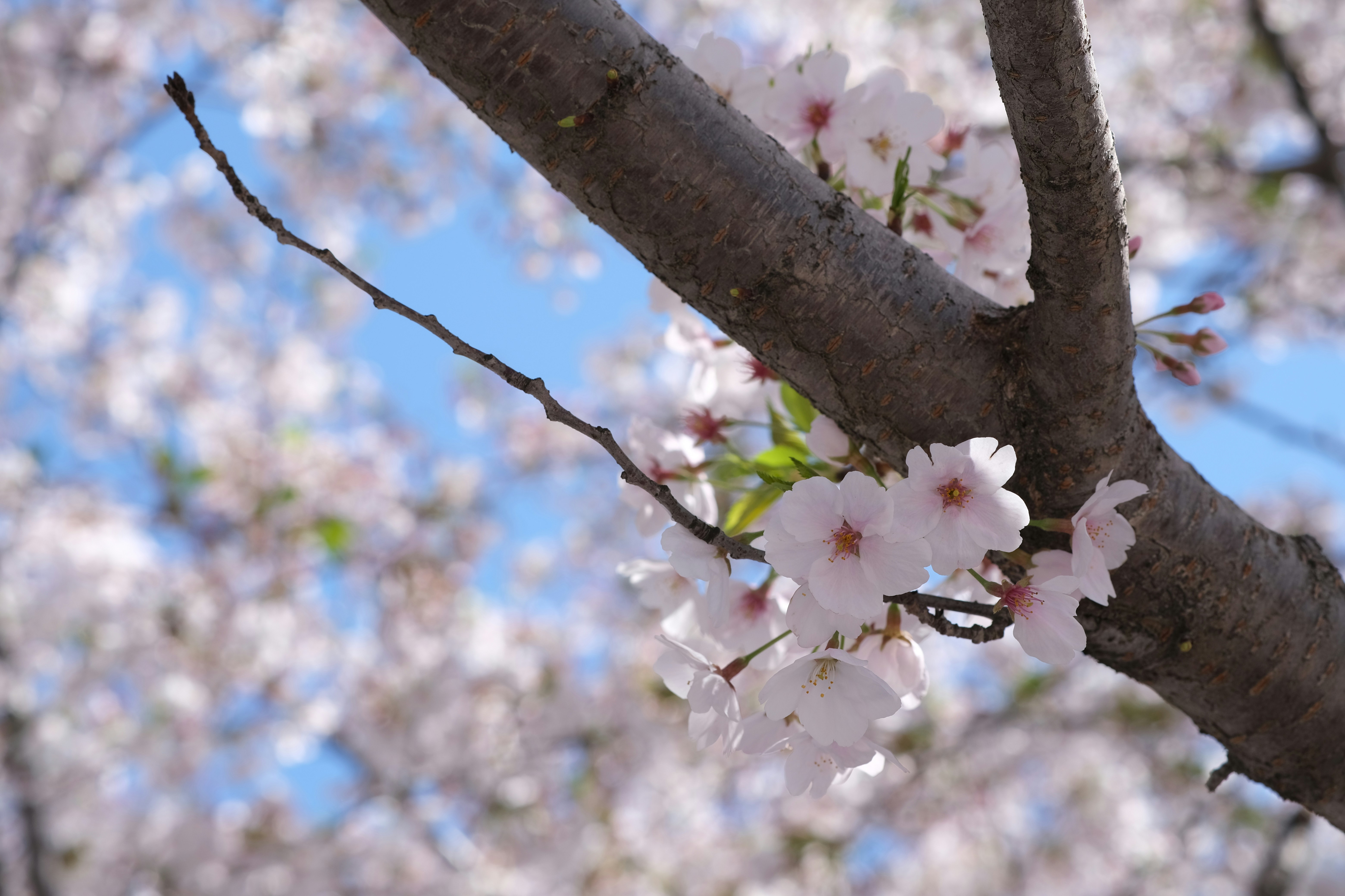 Photo by capture_at_moments