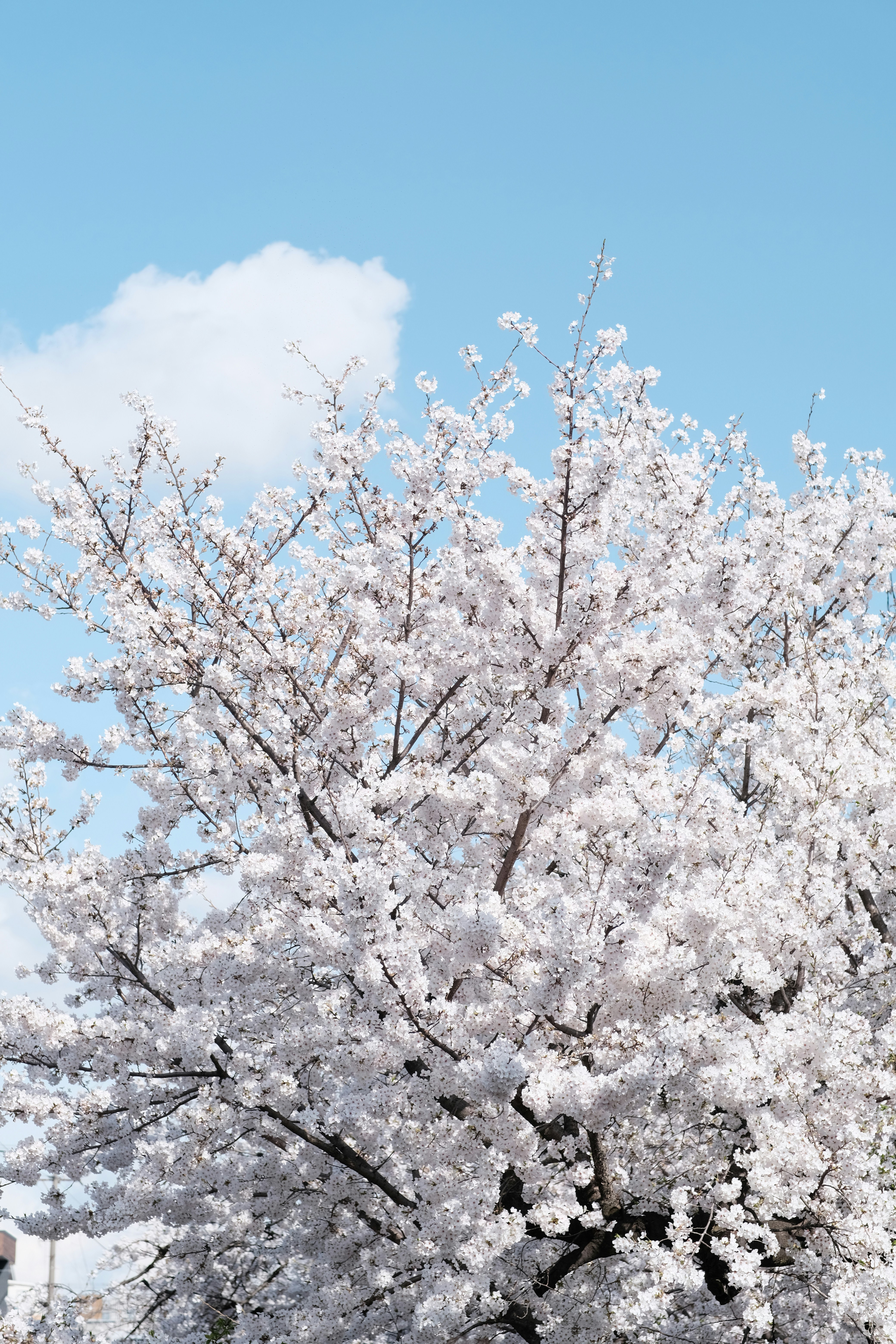 Photo by capture_at_moments