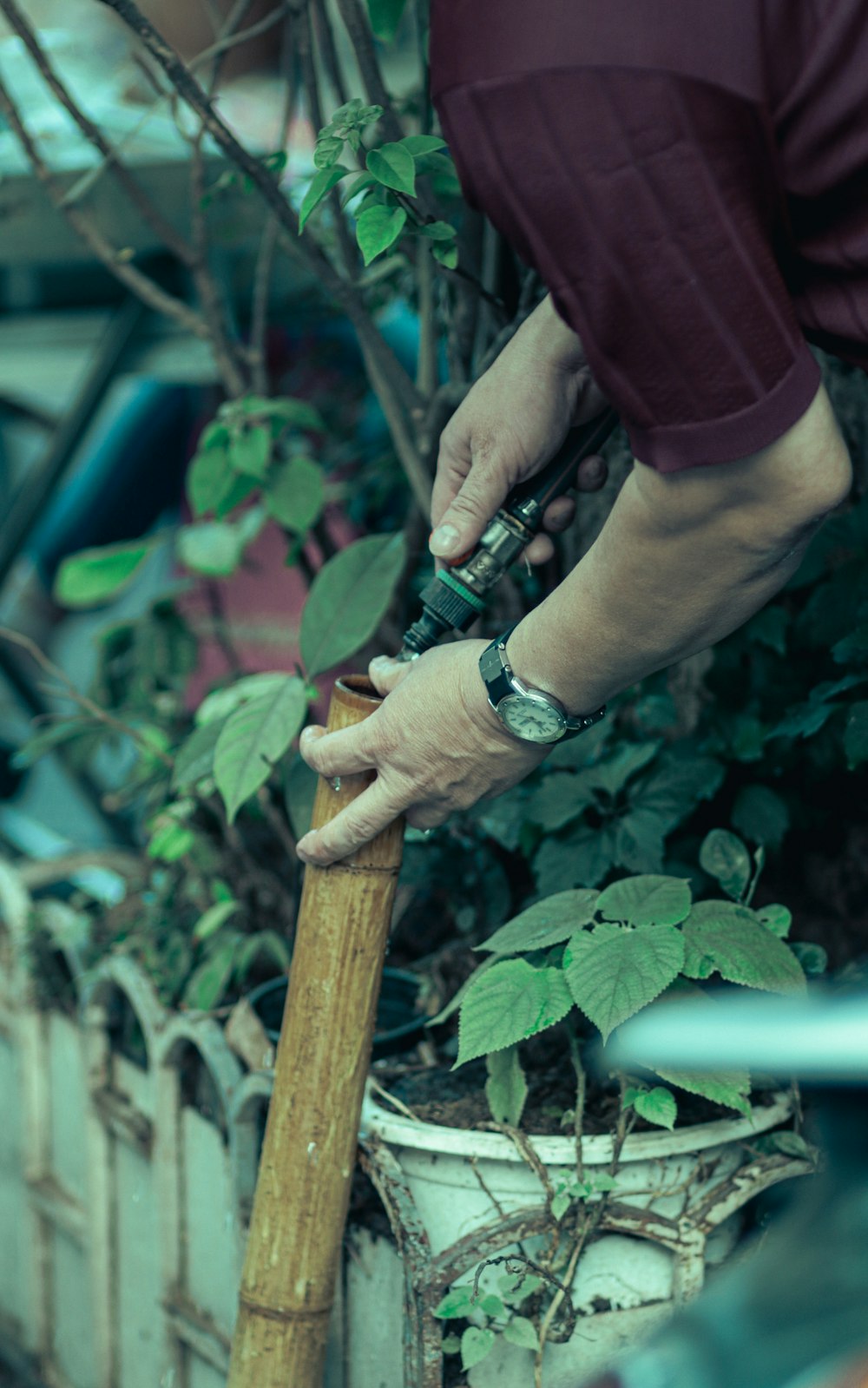 a man is using a garden tool to trim a tree