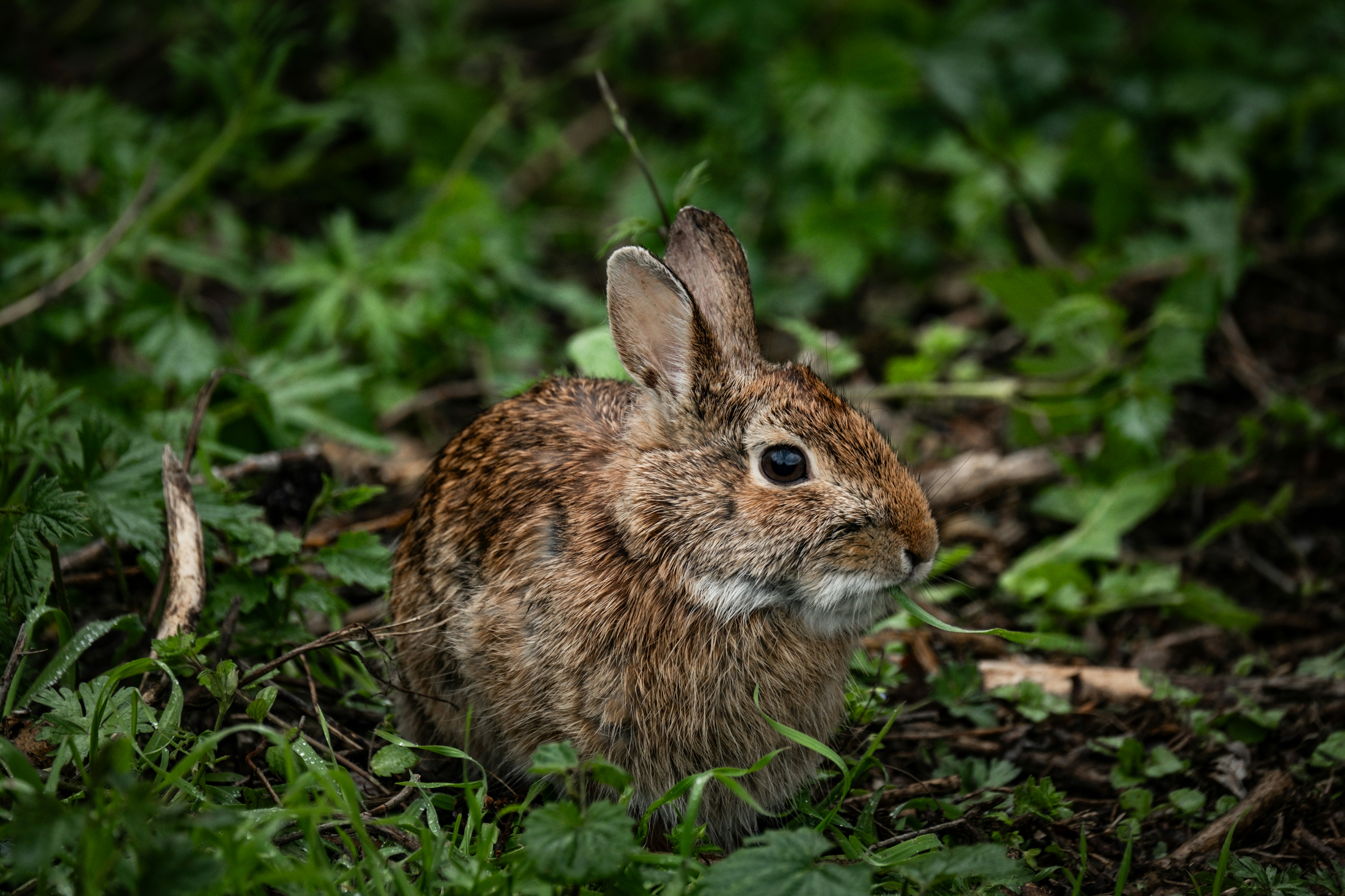 Photo by francesco_ungaro