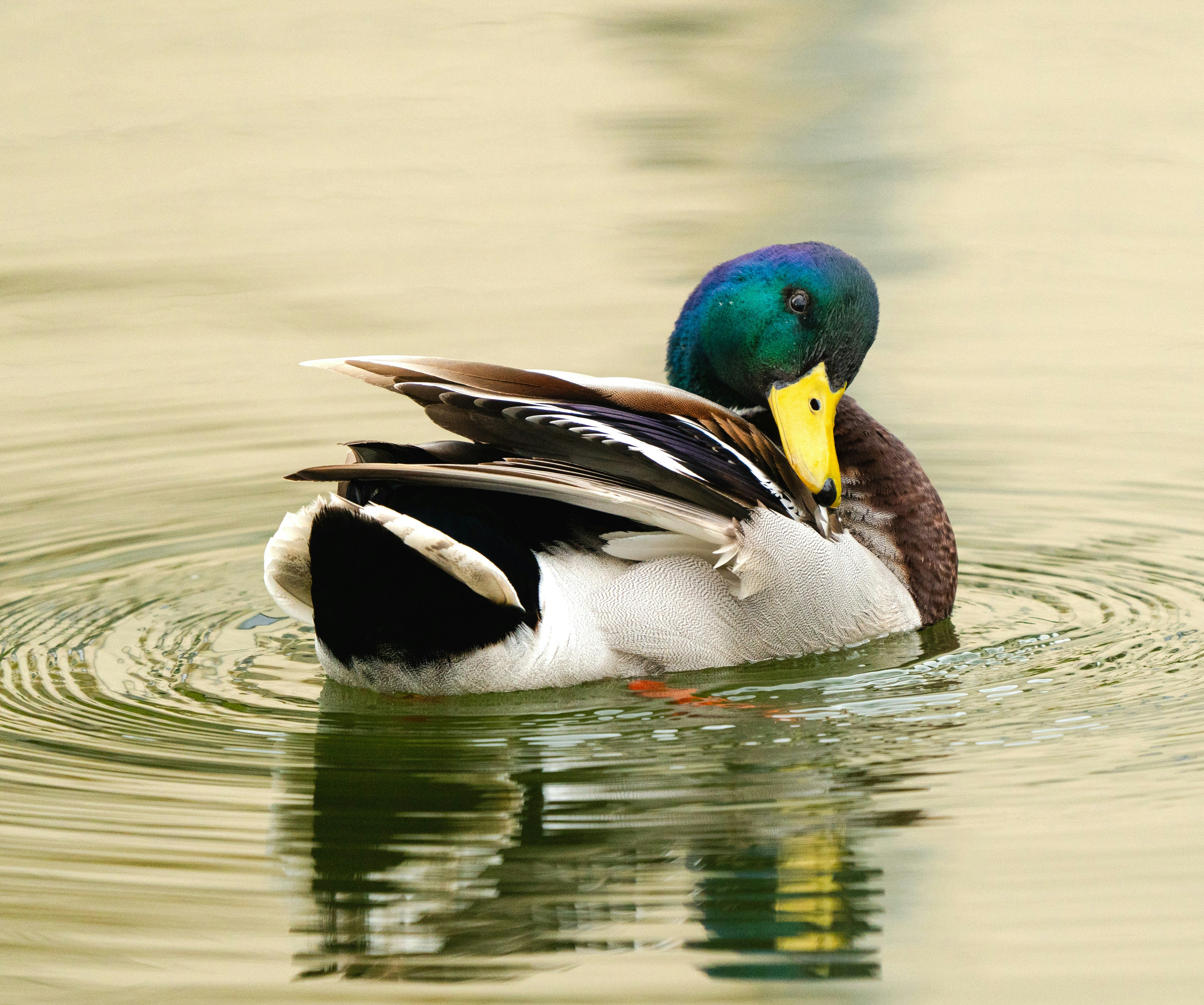 Photo by aniolumsuzlestir