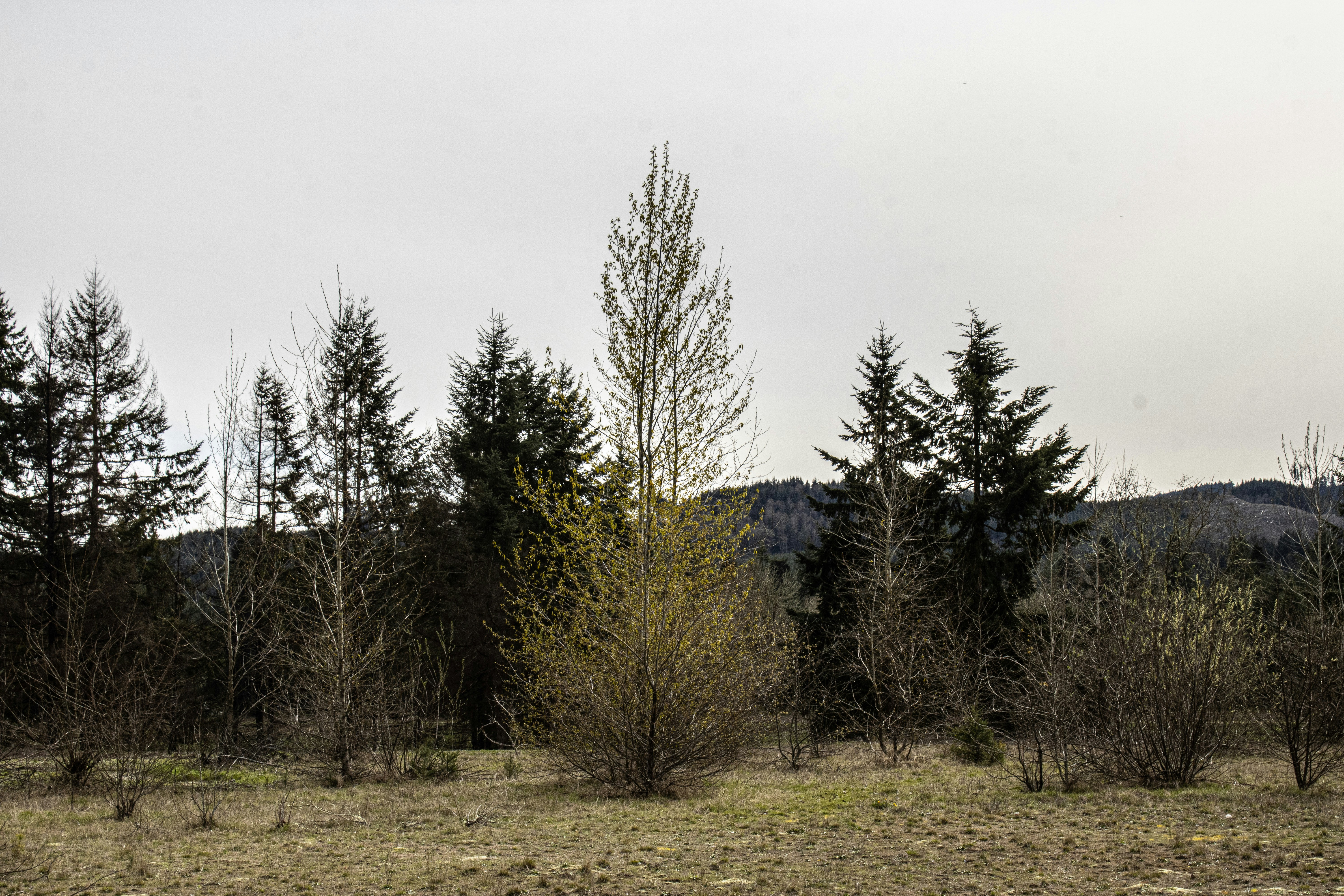 Photo by prphotography262