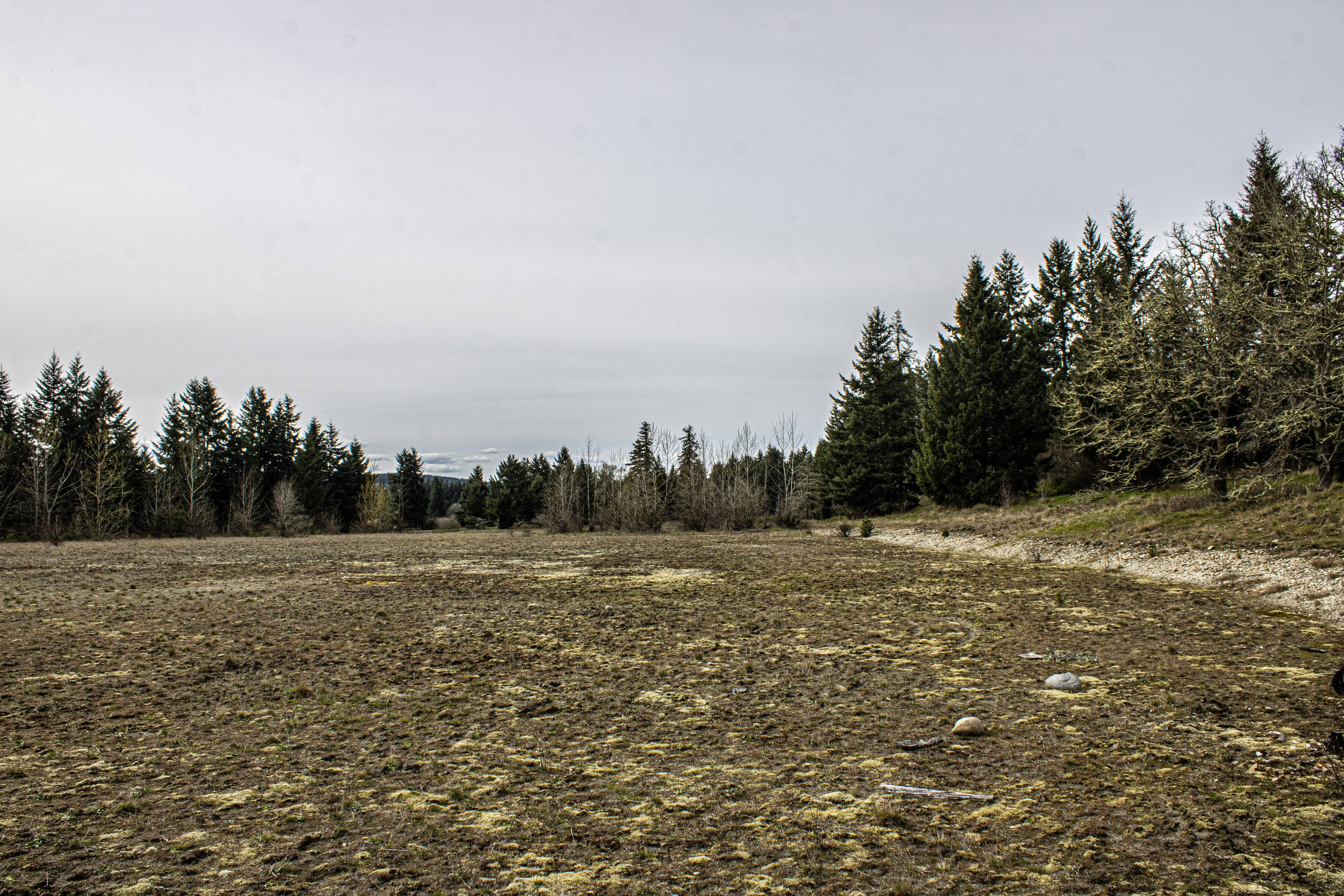 Photo by prphotography262