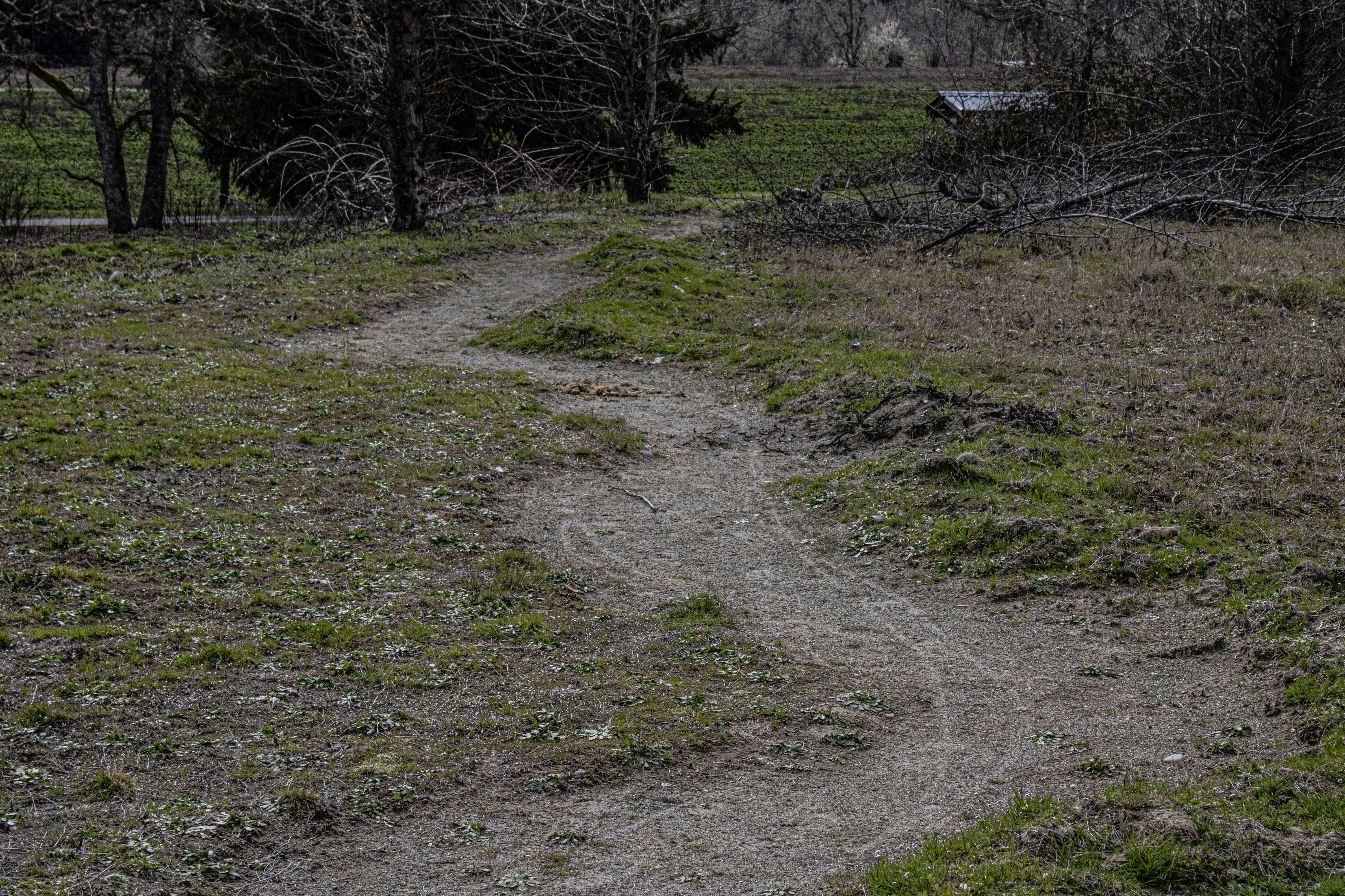 Photo by prphotography262