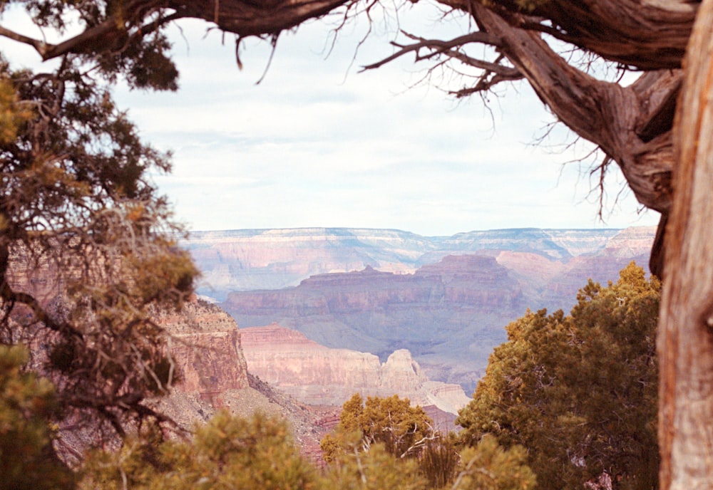 a view of the grand canyon from a distance