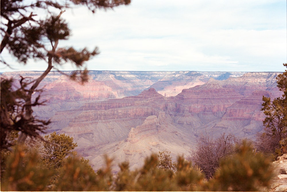 a view of the grand canyon from a distance