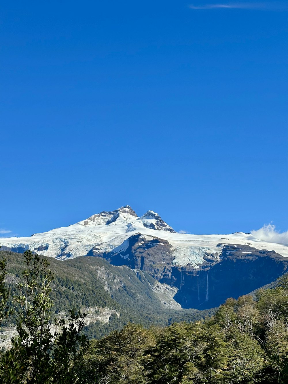 a mountain covered in snow and surrounded by trees