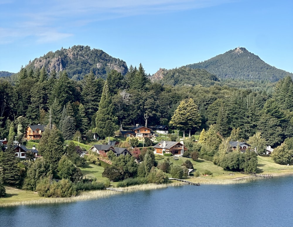 Un lago rodeado de árboles y casas