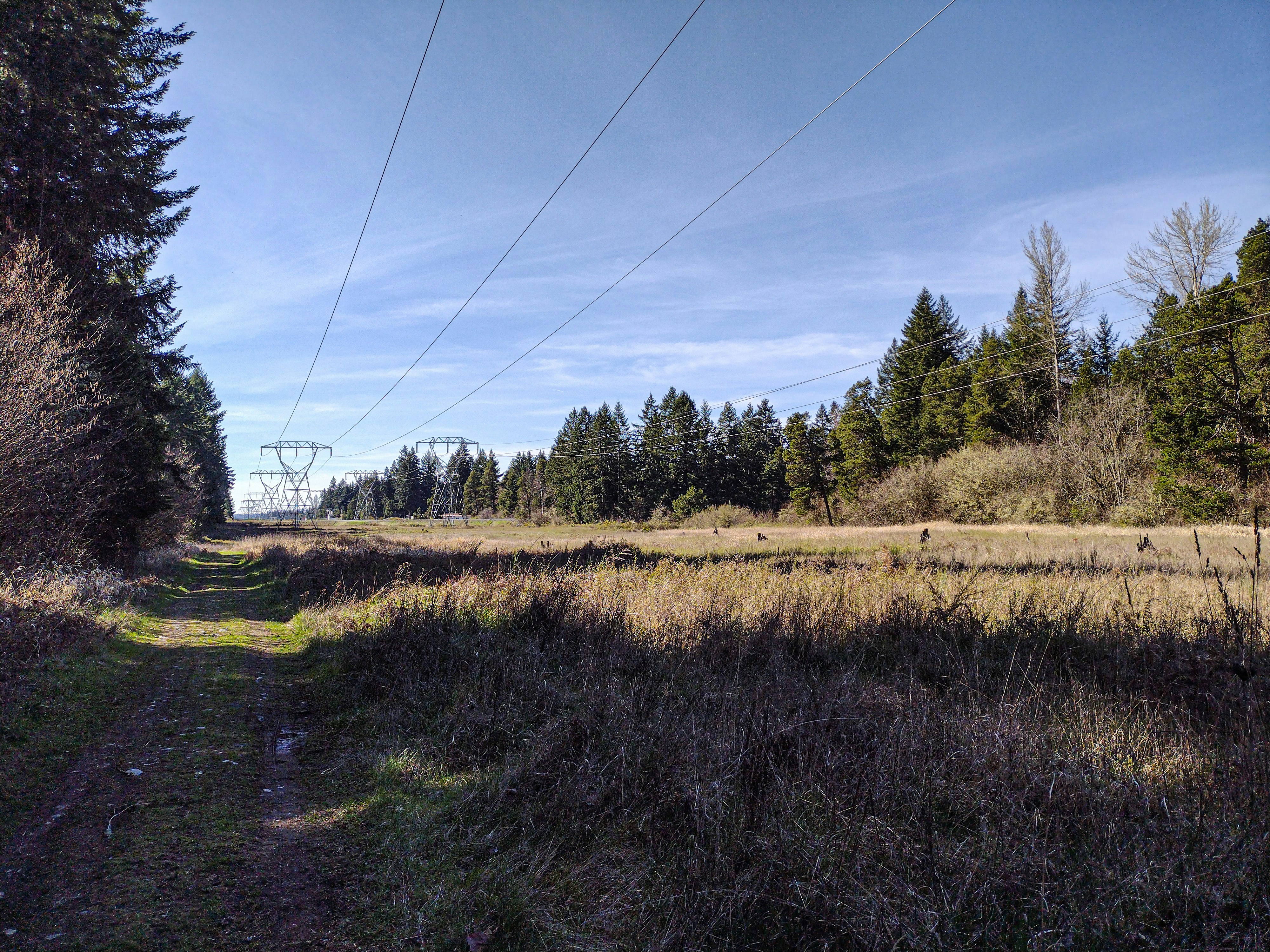 Photo by prphotography262