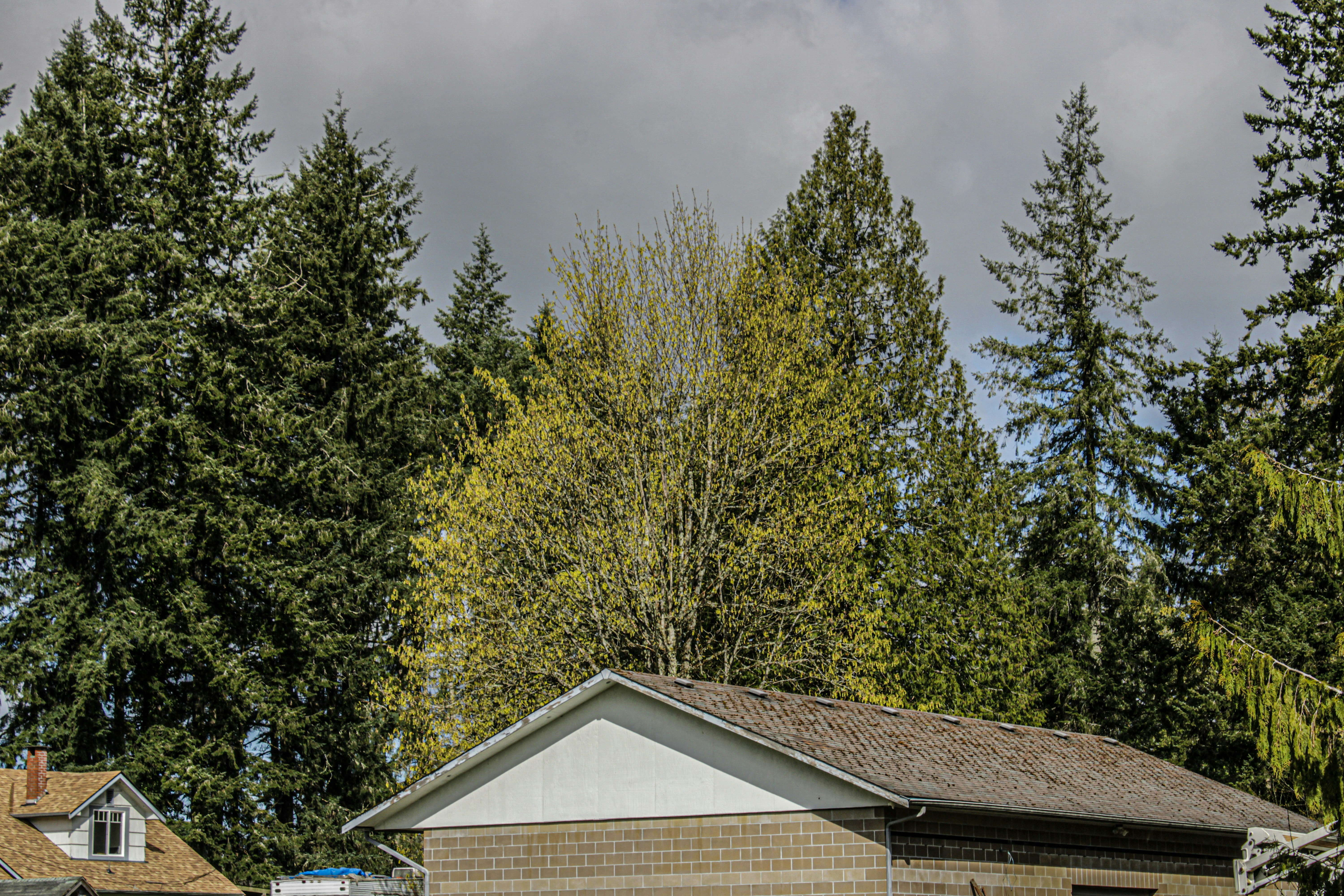 Photo by prphotography262