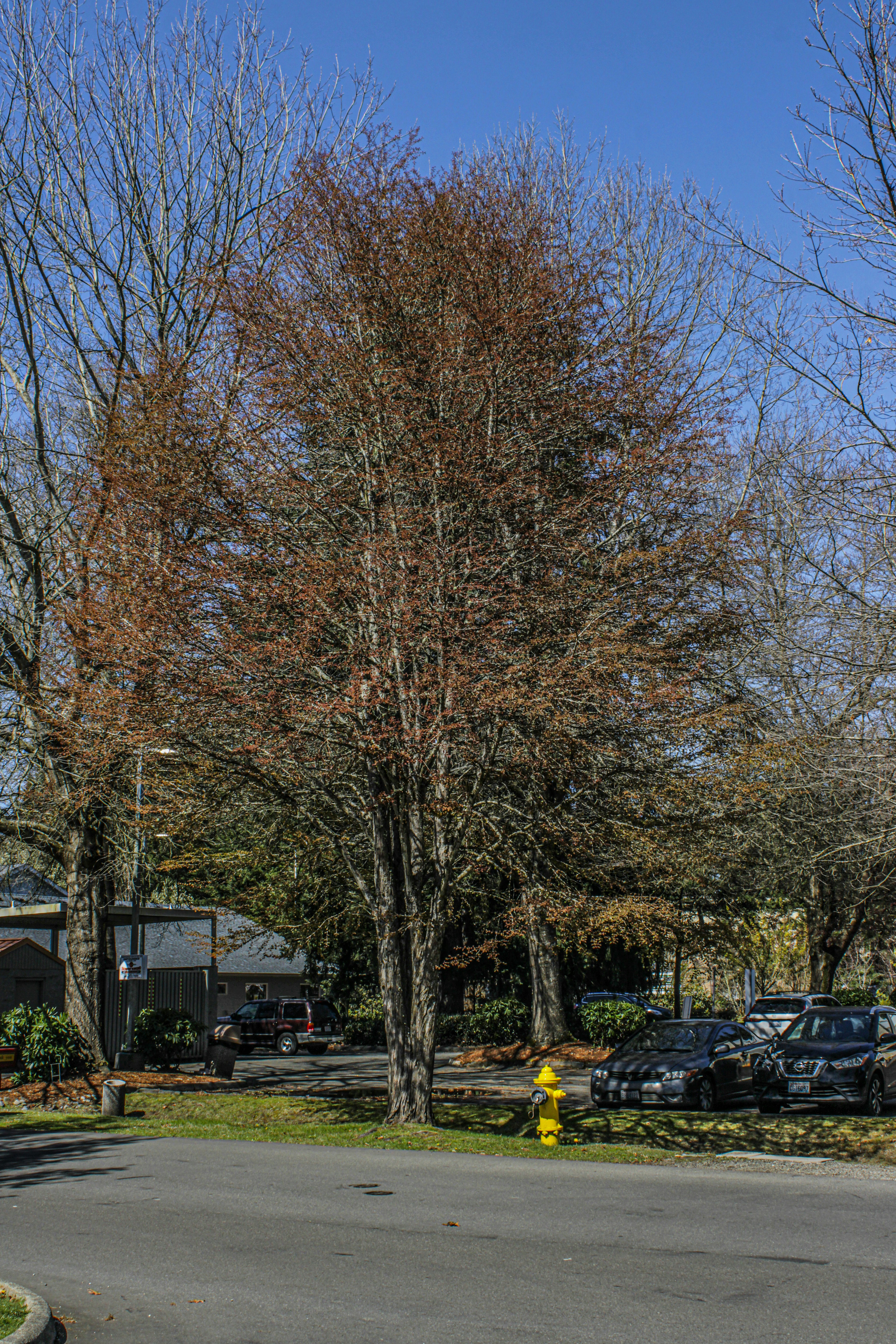 Photo by prphotography262