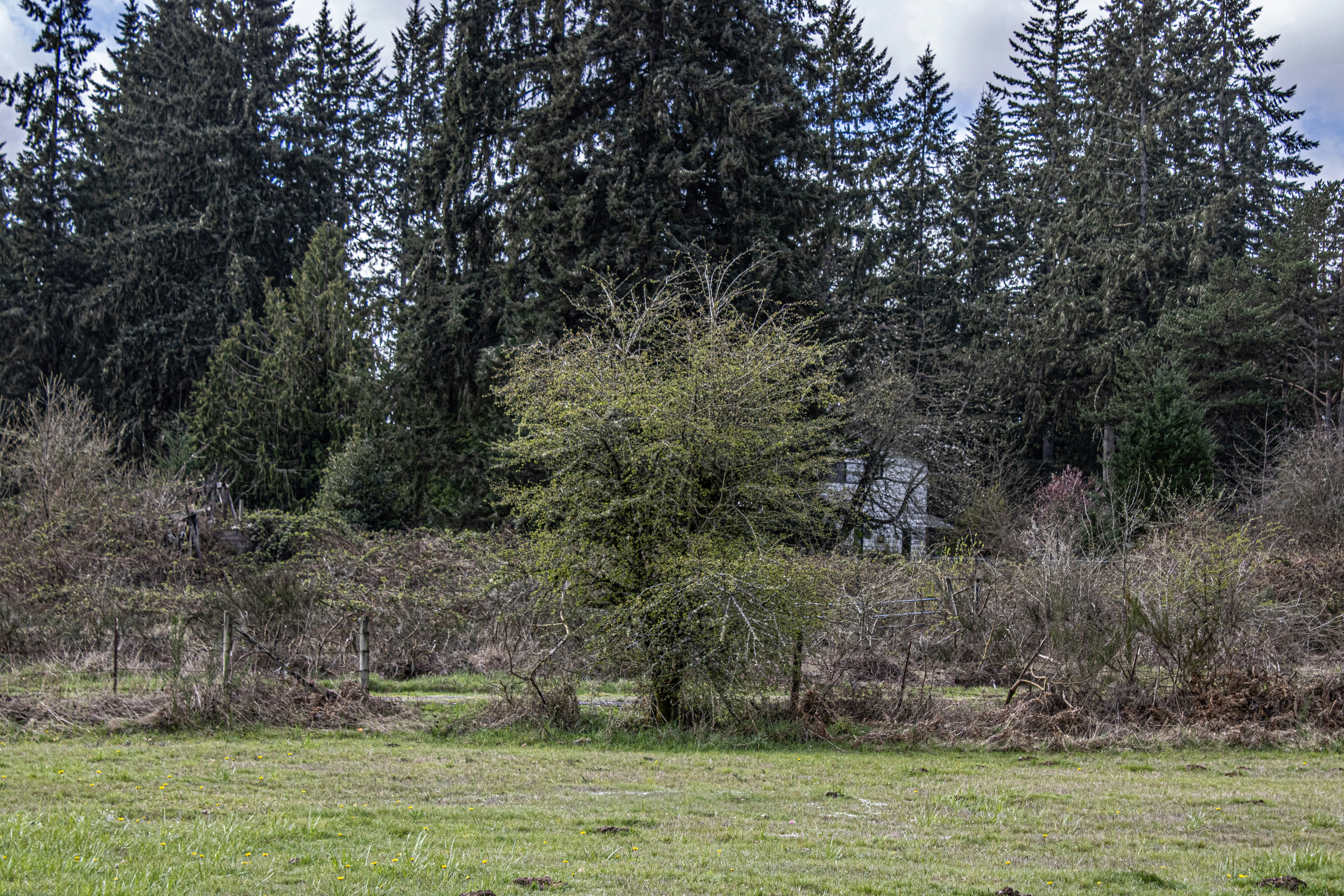 Photo by prphotography262