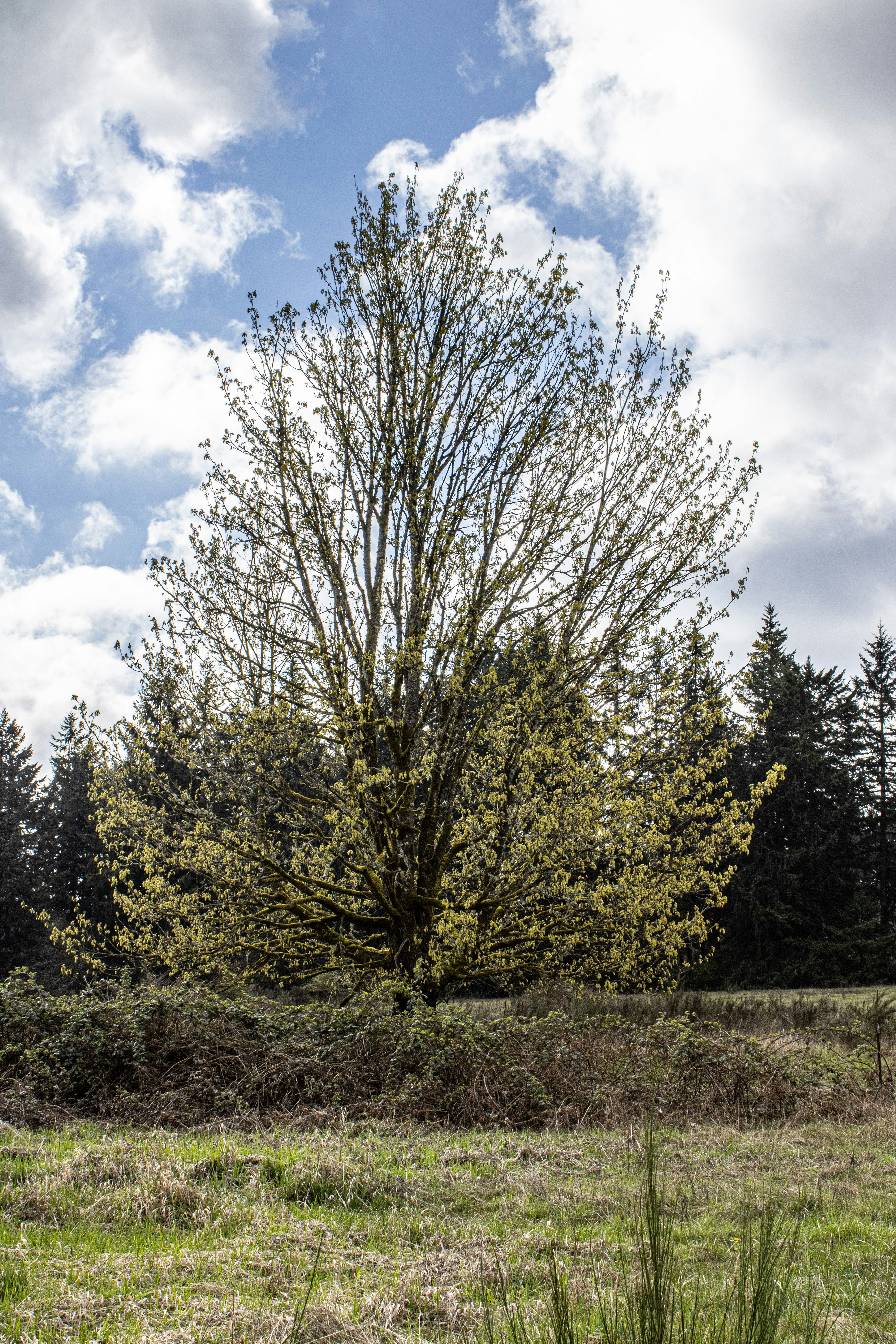 Photo by prphotography262