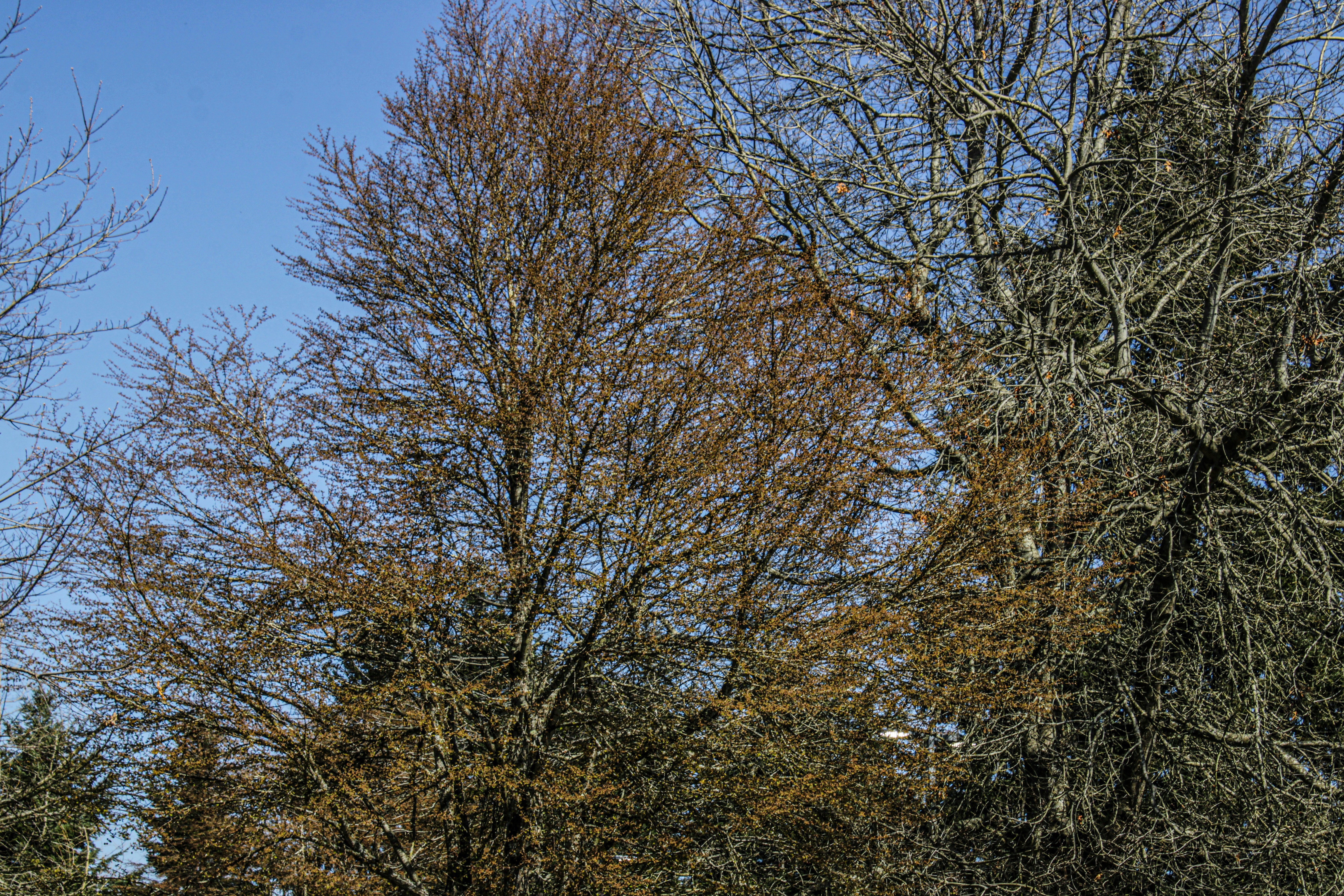 Photo by prphotography262