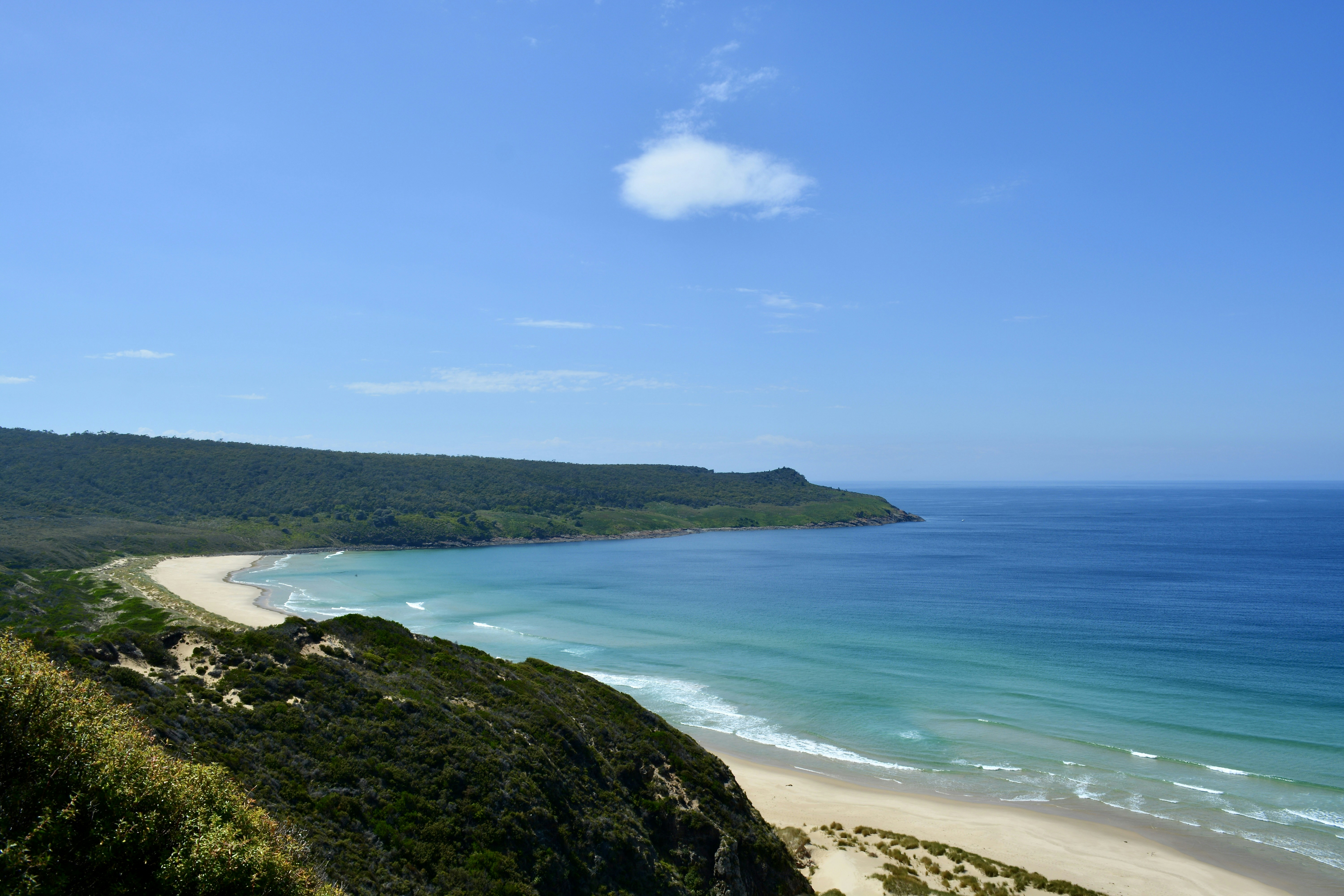 Bruny Island, Australia - An absolutely stunning vista of Cape Queen Elizabeth, with green coastal cliffs falling away to a turquoise and emerald ocean.