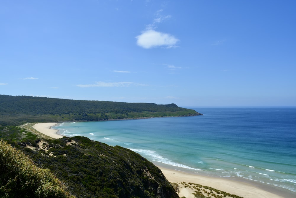 a view of a beach from a cliff