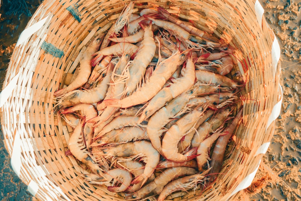 a basket filled with shrimp sitting on top of a beach