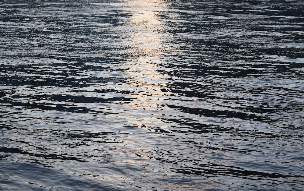 a boat floating on top of a body of water