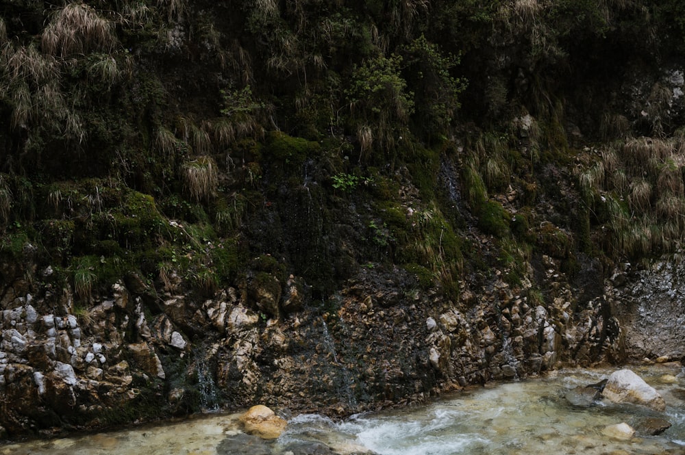 a man sitting on a rock next to a river