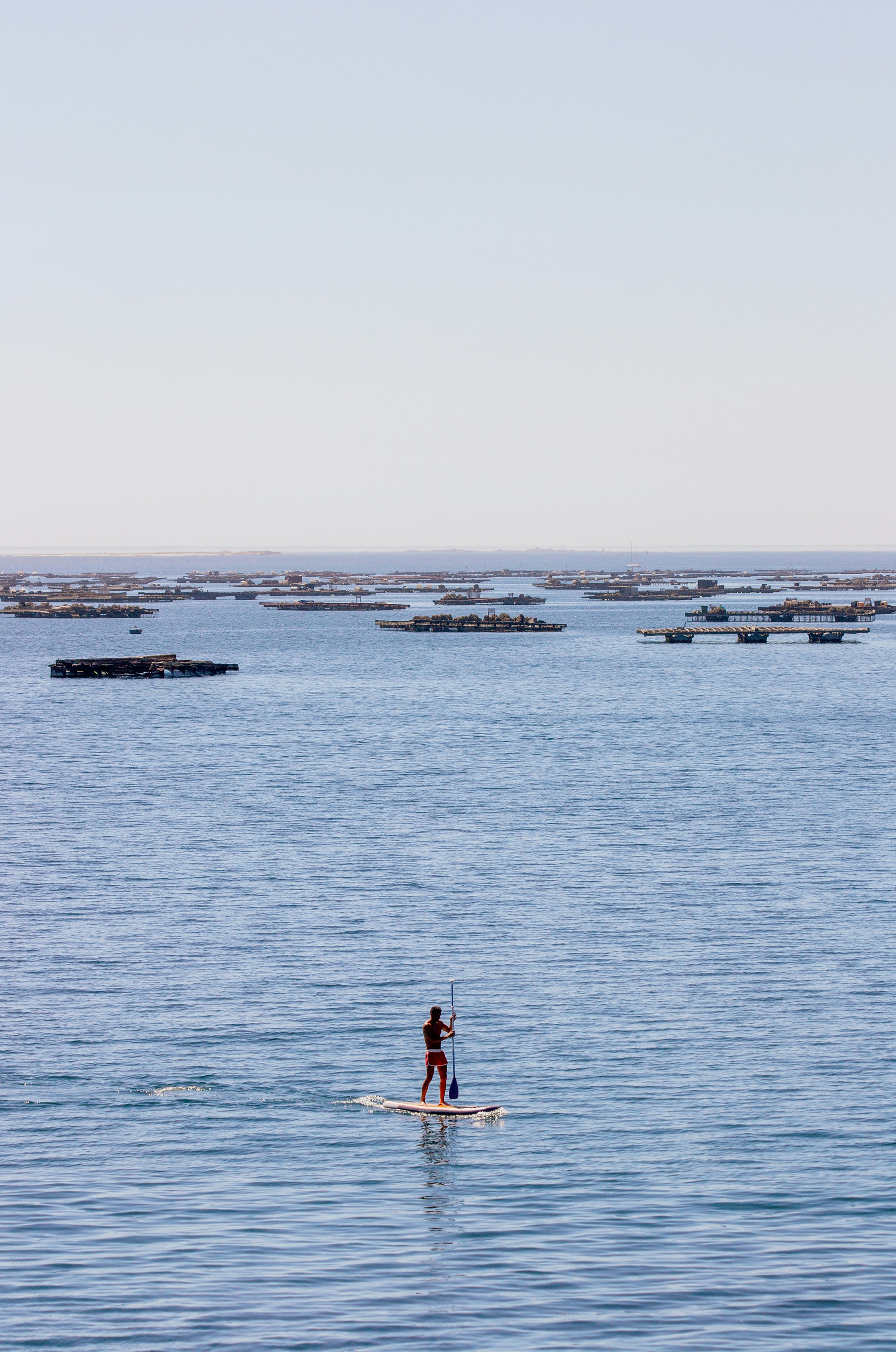 a person riding a paddle board on a body of water