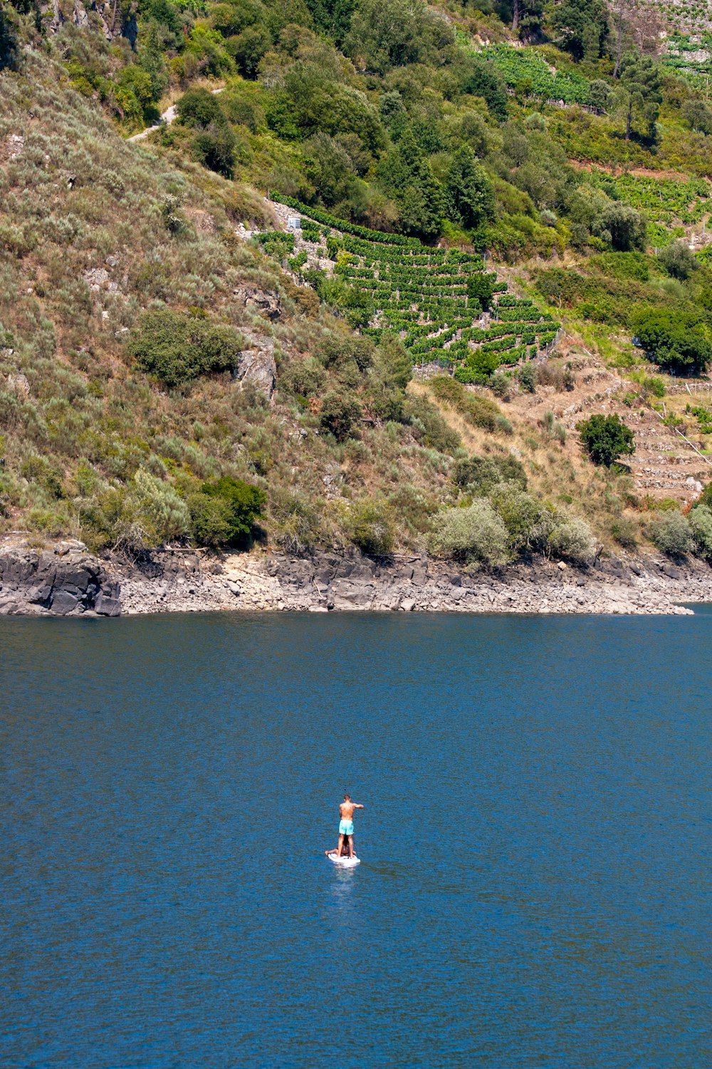 a person on a surfboard in a body of water