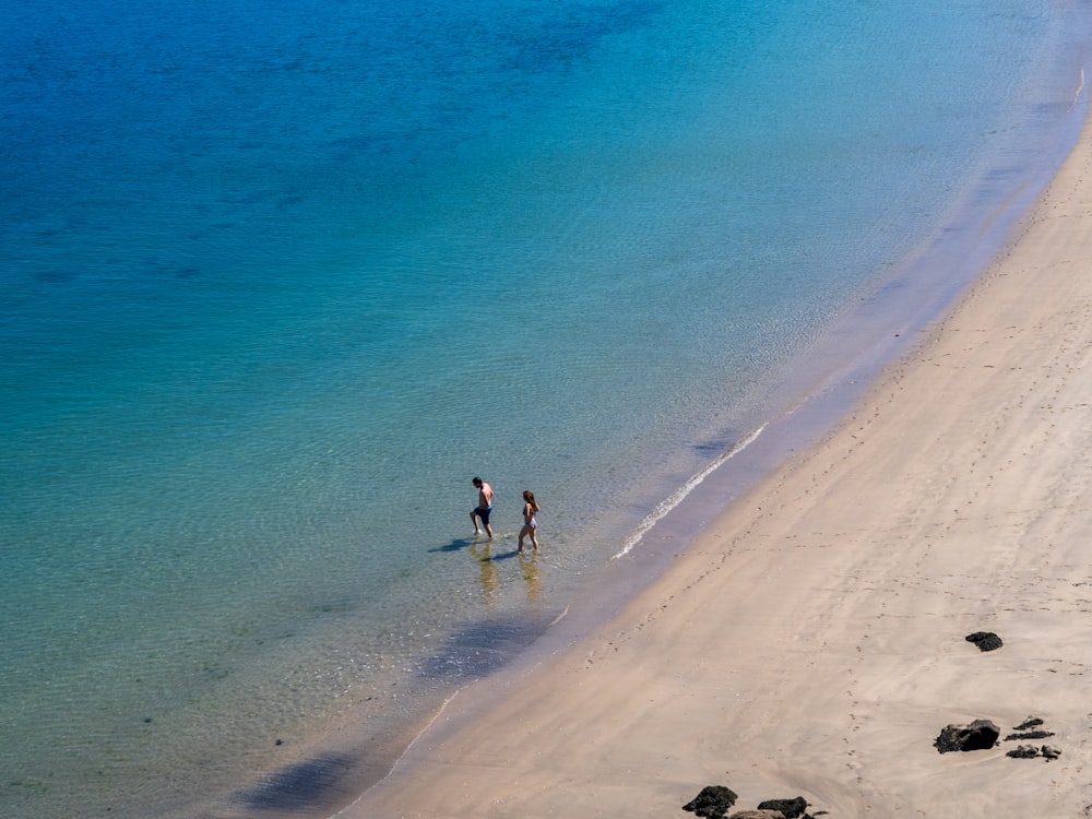 a couple of people walking along a beach next to the ocean