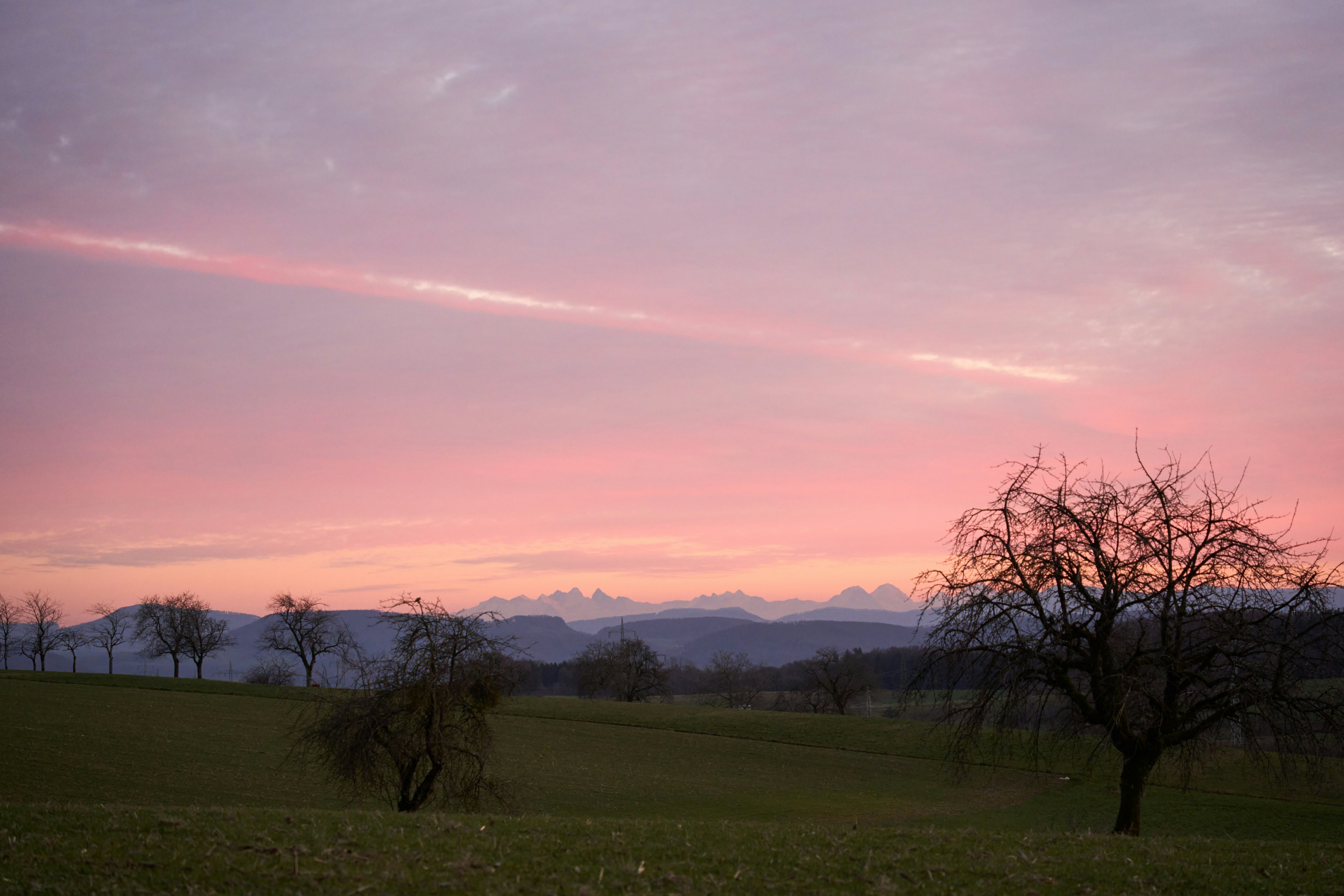 Photo by wolfgang_hasselmann