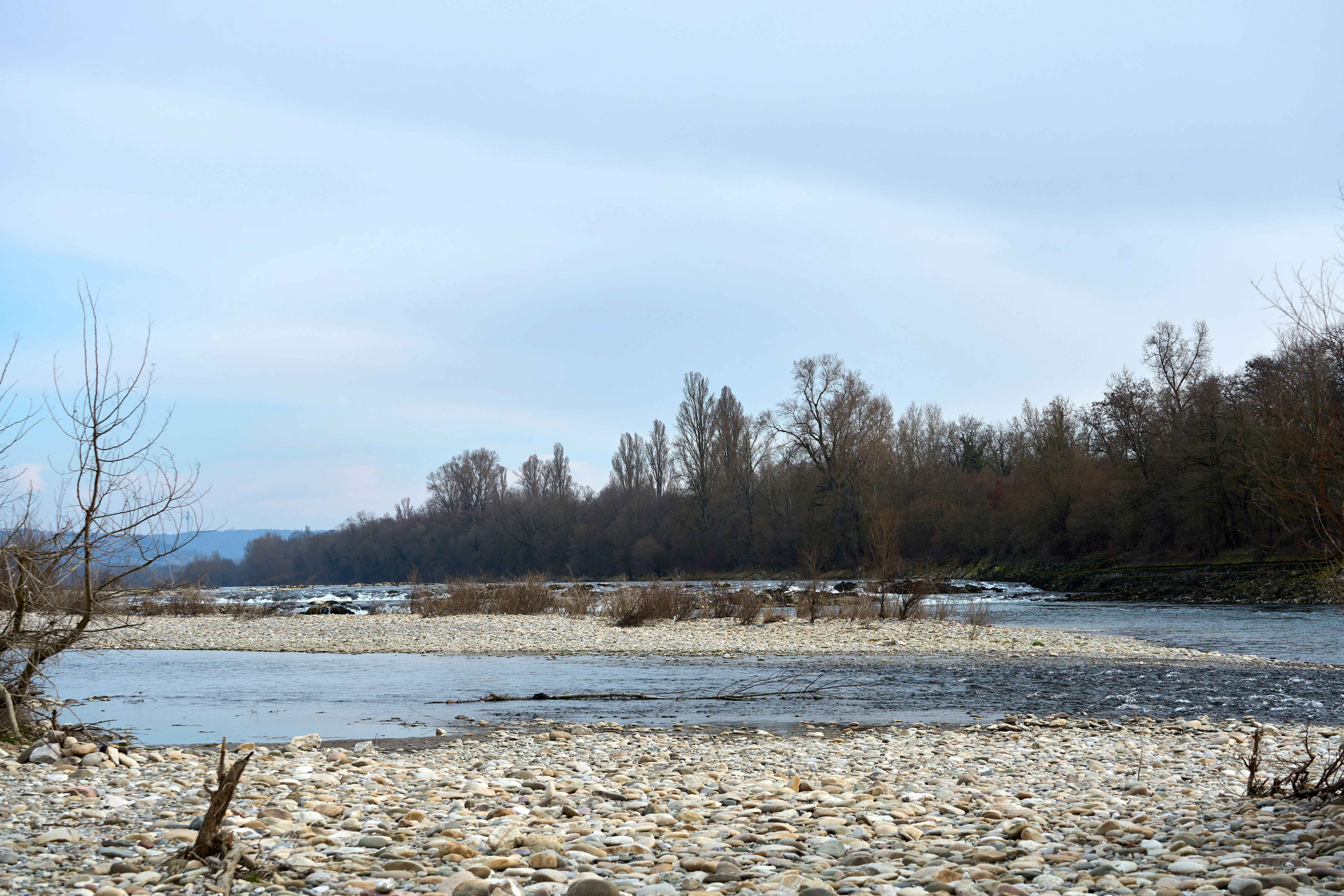 Photo by wolfgang_hasselmann