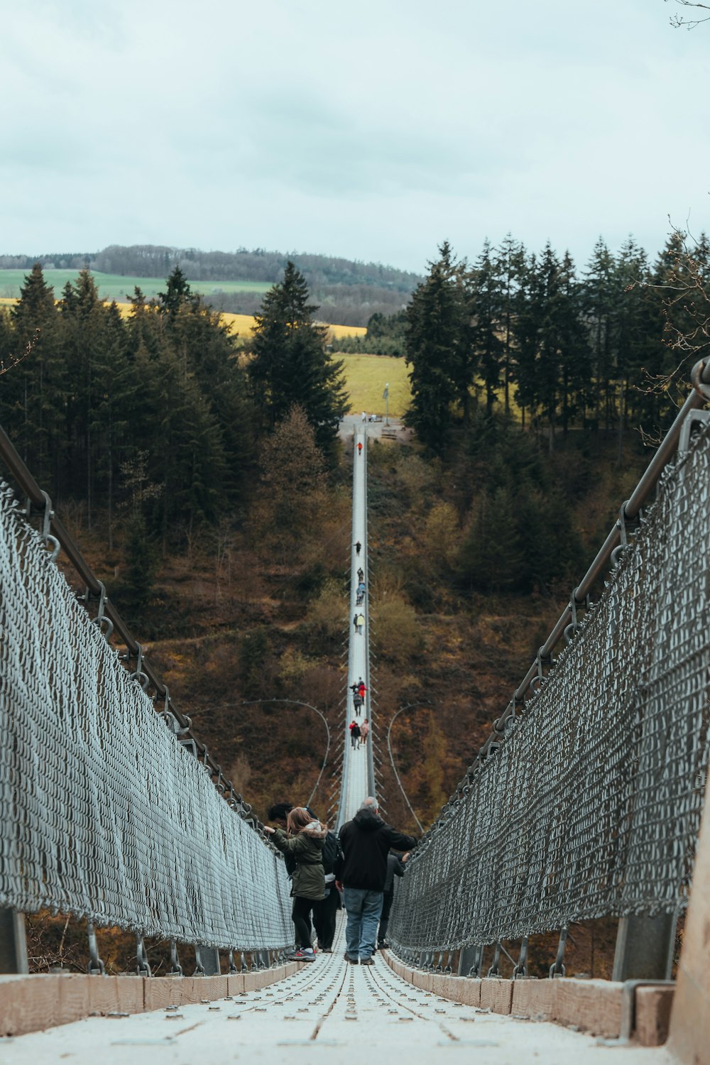 two people walking across a suspension bridge