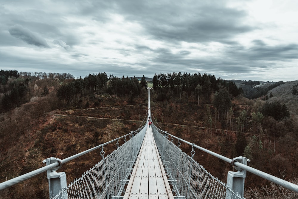 a suspension bridge in the middle of a forest