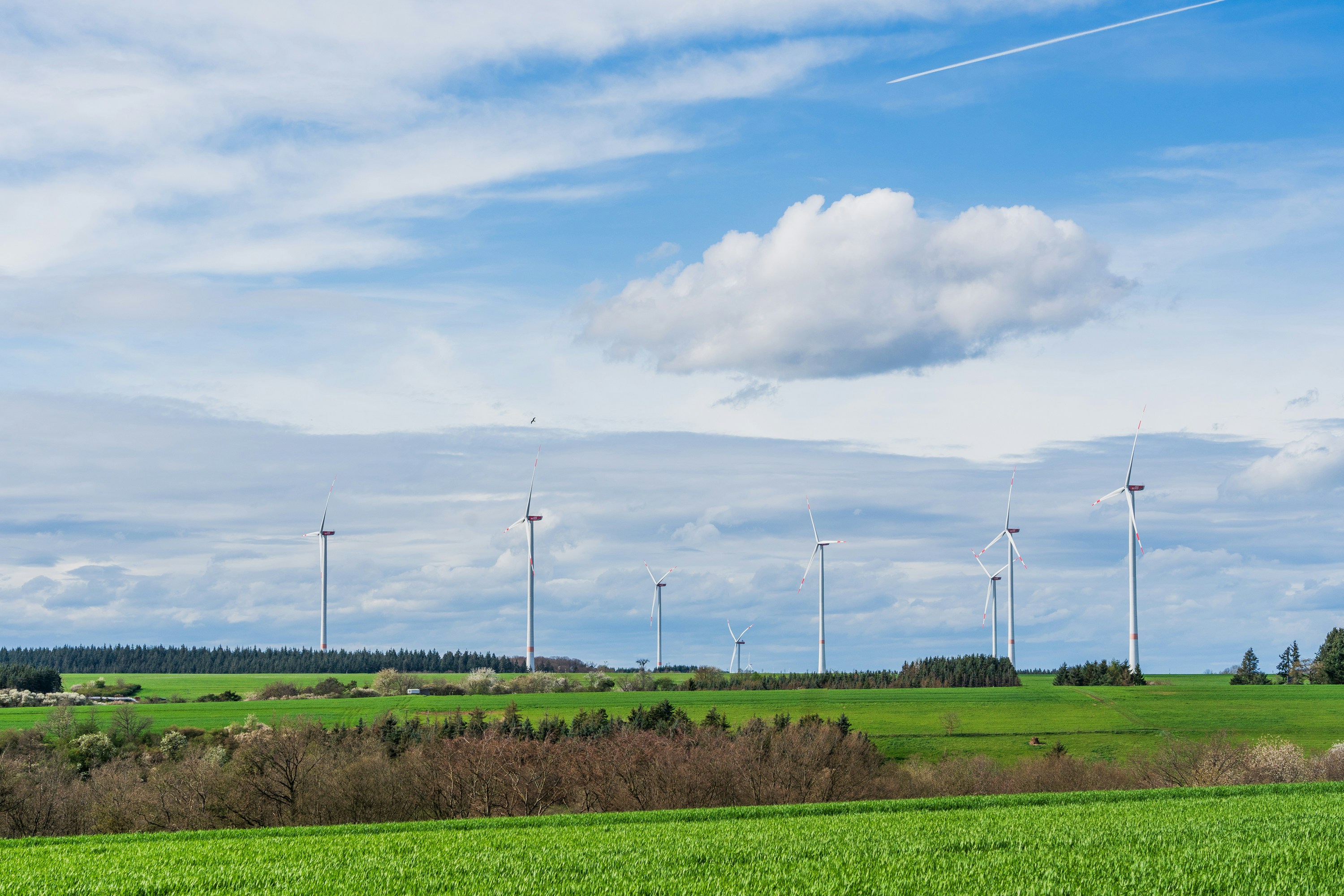 Photo by masoodaslami