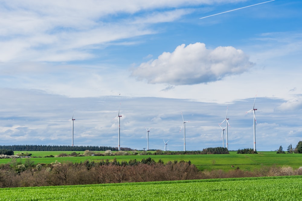 a green field with wind turbines in the distance
