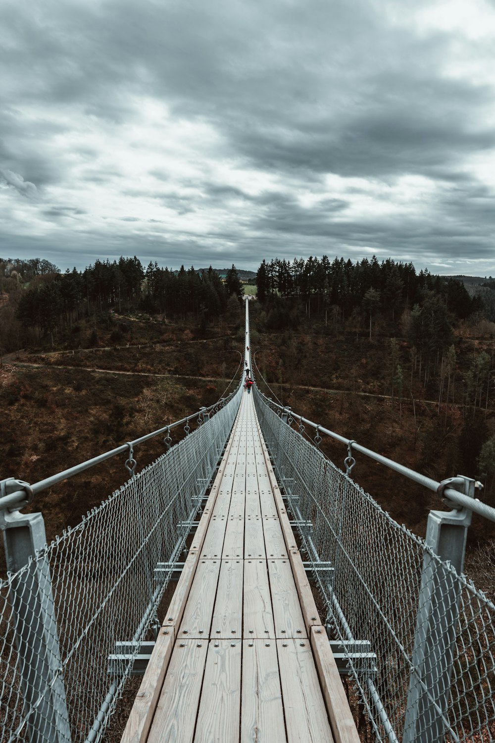 a wooden bridge with metal railings over a forest