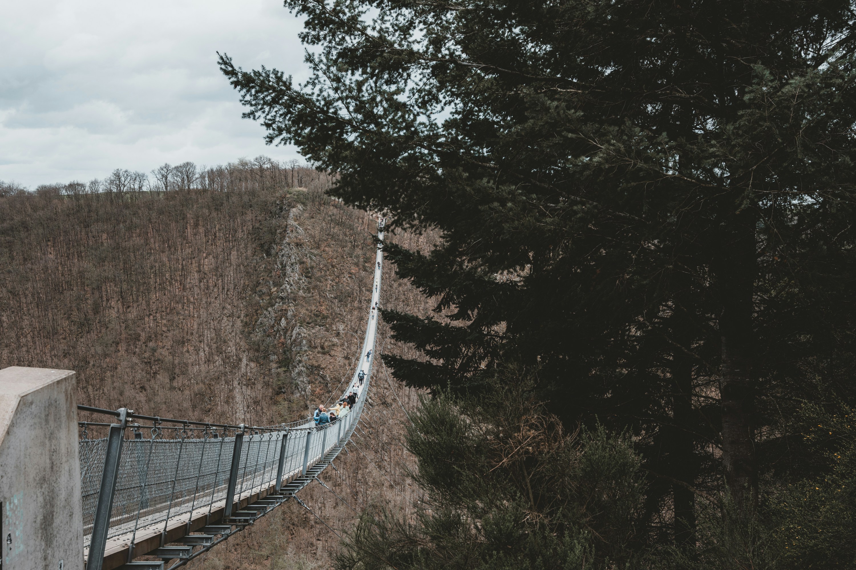 Photo by masoodaslami