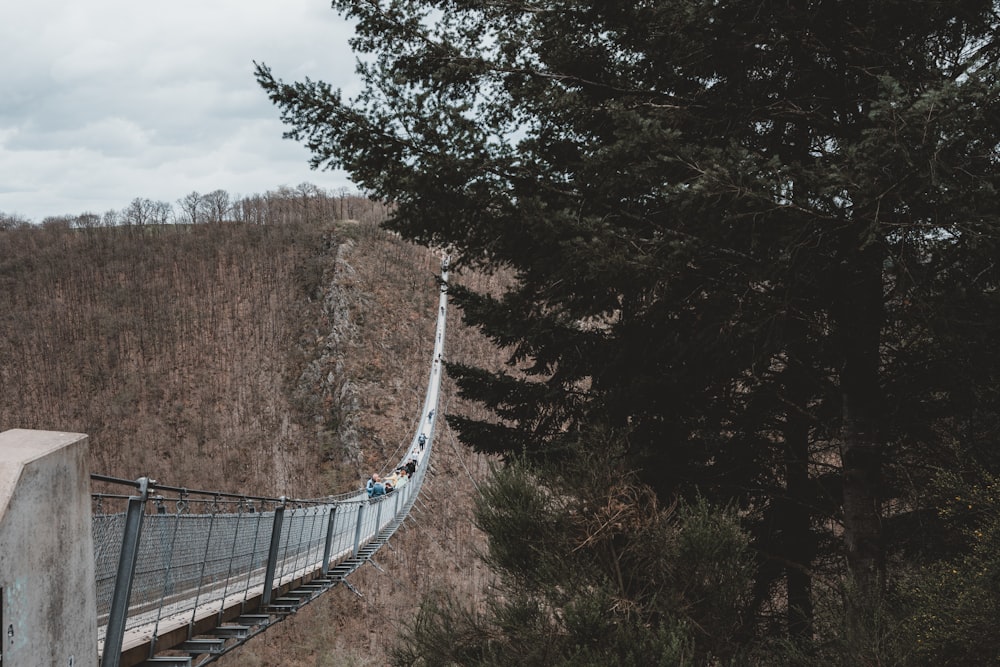 a person walking across a suspension bridge in the woods