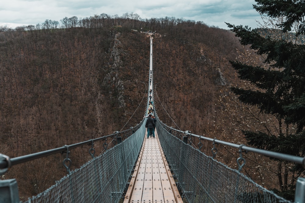 a man walking across a suspension bridge over a forest