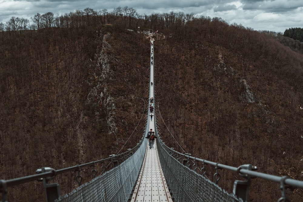 a suspension bridge in the middle of a forest