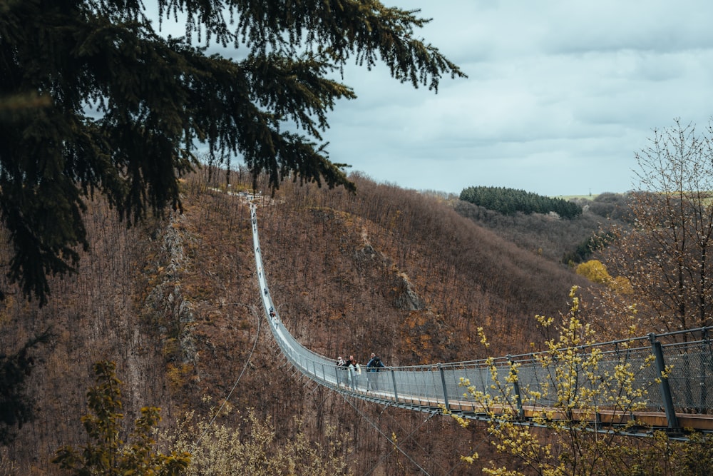 a suspension bridge in the middle of a wooded area