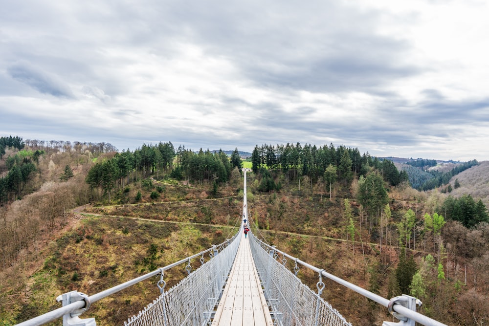 a suspension bridge in the middle of a forest