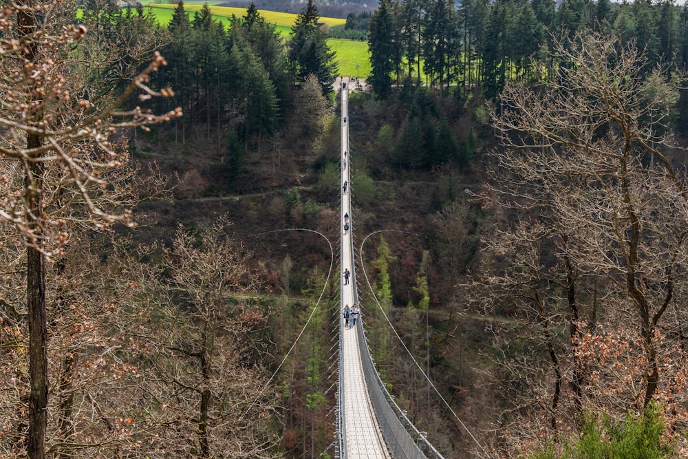 a long suspension bridge in the middle of a forest