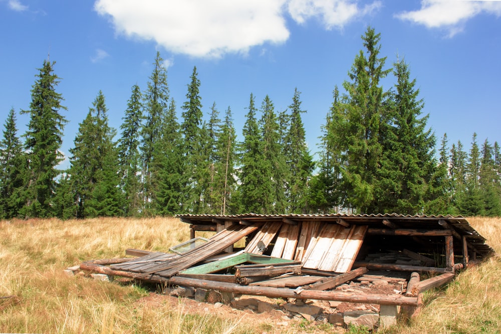 a run down building in a field with trees in the background